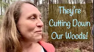 A Surprise In Our Woods, Winter Harvest and Weekend Chores | VLOG @semojohomestead