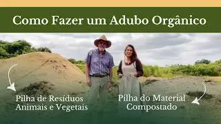 Dicas Pr&aacute;ticas Para Fazer uma Compostagem Org&acirc;nica