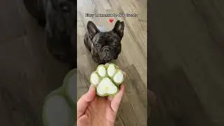 This Is How I Make Healthy Dog Treats...