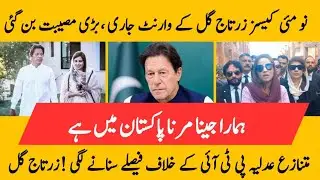 Zartaj Gul Exposes Judiciary Crisis & Arrest Threats | Form 47 Govt Controversy