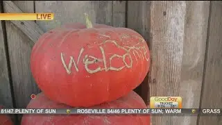 R.A.M. Farms