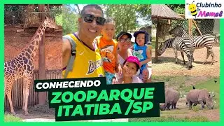 ZOOPARQUE ITATIBA/SP - conhecendo o Maior Zoológico particular do Brasil | Dinossauro | Animais