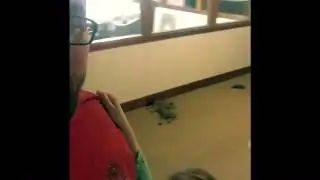 Cat finds the Fat Dad