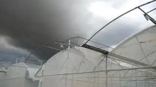 New butterfly design of polyhouse. From Govindgreenhouse. Pune