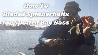 How to Fish Bladed Spinnerbaits for Spotted Bay Bass in SoCal Shallows