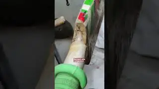 Spartan cricket bat Mr. Simerpreet Singh from Amritsar || bat repair adda || bat repair Hub #shorts