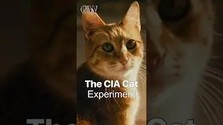 How the CIA Tried to Train a Spy Cat