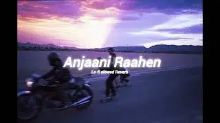 Anjaani Raahen 🌍✨ (Lofi Slowed + Reverb) | Travel & Love Vibes | Heart Touching Song