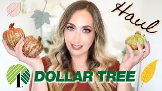 DOLLAR TREE HAUL | August 2019