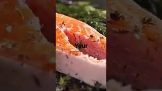 DOG. The Benefits of Salmon for Dogs! #dog #pets #shorts