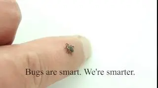 Tick Service Allentown, NJ