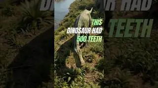 This Dinosaur Had 500 TEETH! 🦕 Amazing Discovery | Dino Den