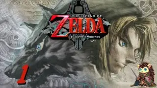 Ordon Village - The Legend of Zelda: Twilight Princess GameCube [1]