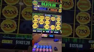 Magic City Casino in miami 🤗