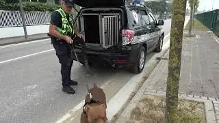 Fermato per un controllo a Jesolo, tenta la fuga in auto: a bordo hashish e cocaina, arrestato