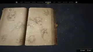 Weird glitch in Hogwarts Legacy