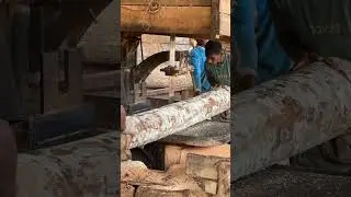 Precision Wood Cutting Expert Sawmill Operators Share Tips