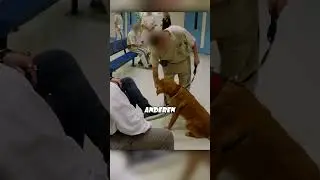 Katzen im Gefängnis