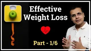 Weight Loss Basics &mdash; Understanding How to Lose Weight Effectively