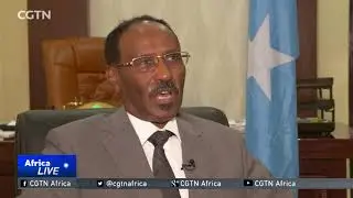 Rebuilding Somalia's economy