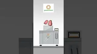 What can go in a food digester?