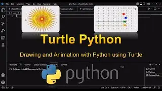 Python Drawing & Animation using Turtle | Drawing Star & Turtle Race Animation Example | Source Code