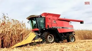 MASSEY FERGUSON 9790 Combine Harvesting Corn