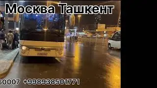 tashkent moskva avtobus