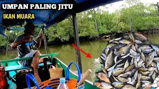 UMPAN JITU MANCING IKAN JENAHAK/IKAN KAKAP TOMPEL (LIHAT HASILNYA)