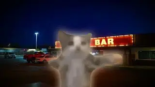 just one drink but its with cats