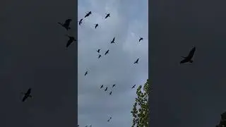 FortWhyte Alive, Winnipeg, Manitoba, Canada