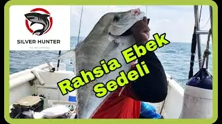 Strike bertubi tubi ketika ombak selatan padu... tewas dalam perjuangan #41