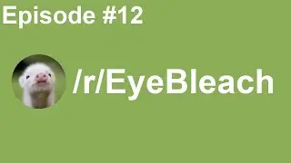 Best of r/EyeBleach [12] - June 2020