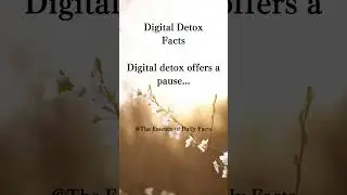 Digital detox offers a pause...#youtubeshorts #facts #family #psychology #motivation