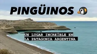 WALKING AMONG PENGUINS - Monte Le&oacute;n National Park - Santa Cruz - Argentina