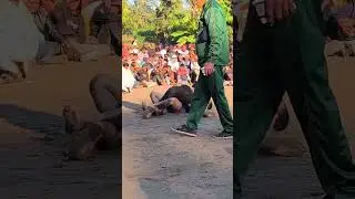 আনোয়ার এবং বডিবিল্ডার সোহেল