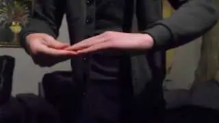 Gecko awesome magic trick