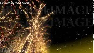Stock Footage illumination tree city night light neon illumination tree neon 2 A4s HD