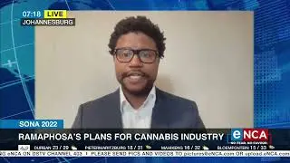 SONA 2022 | Ramaphosa's plans for cannabis industry