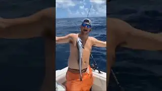 Amazing facts about remora fish sucker fish | XtraFakt | Facts
