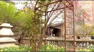 The fight to save Elizabeth Street Garden