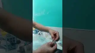 #Shrimp Fresh# for Cleaning#removed shell#