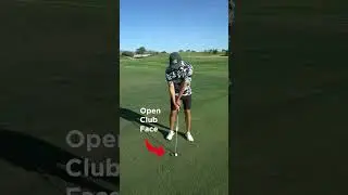 3 Tips to the Perfect Flop Shot