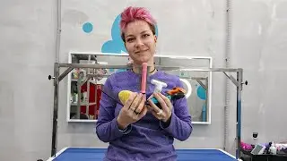 Все о домашнем уходе за шерстью кошек🐱. От инструмента до косметики.