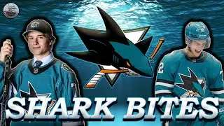 Shark Bites - Let's talk San Jose Sharks and the National Hockey League