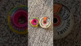Snot Wheels 48mm #skateboarding #snotwheels #shorts #skatewheels