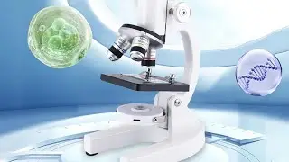Microscope for Kids & Adults 🔬📱 | 40X-2000X Magnification with Phone Adapter & Slides