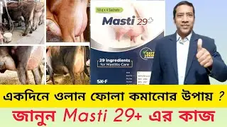 একদিনে ওলান ফোলা কমানোর উপায়? জানুন Masti 29+ এর কাজ ||  VET Medicine BD
