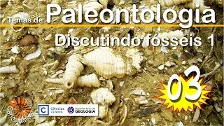 Temas de Paleontologia: 3. Discutindo o conceito de Fóssil 1