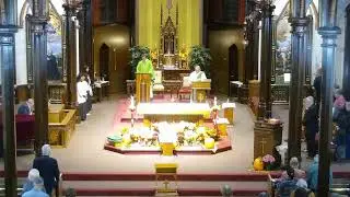 November 8,2025, Saturday,5pmVigil Mass of  Feast of the Dedication of the Lateran Basilica in Rome